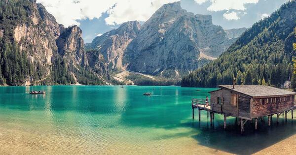 A winding forest path inviting a relaxed walk